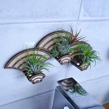 Load image into Gallery viewer, Growsaic Art Deco Living Wall Air Plant Holders | The Rainbow