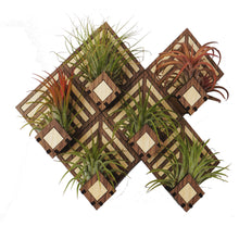 Load image into Gallery viewer, Living Wall Air Plant Holders | The Diamond