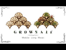 Load and play video in Gallery viewer, Living Wall Air Plant Holders | The Diamond